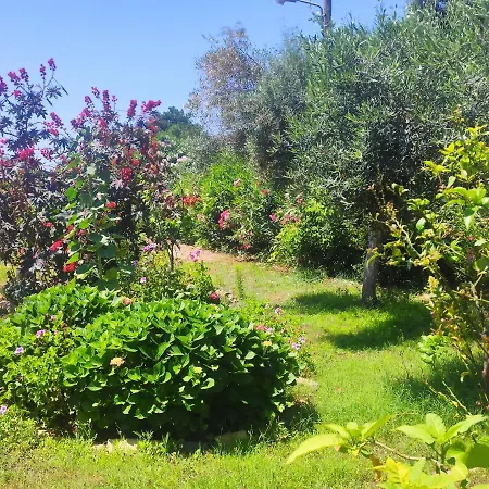 Tetraktys Estate Sea View, Beachside, αήρ Halikounas