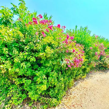 Tetraktys Estate Beachside Seaview 3 Bedrooms αηρ Appartement