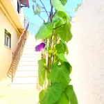 Tetraktys Estate Beachside Seaview 3 Bedrooms αήρ Appartement *