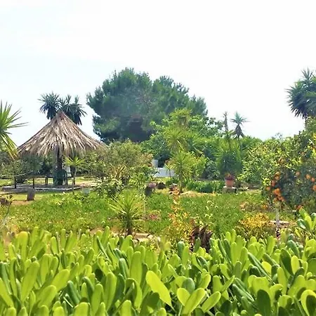 Tetraktys Estate Beachside Seaview 3 Bedrooms αήρ Halikounas